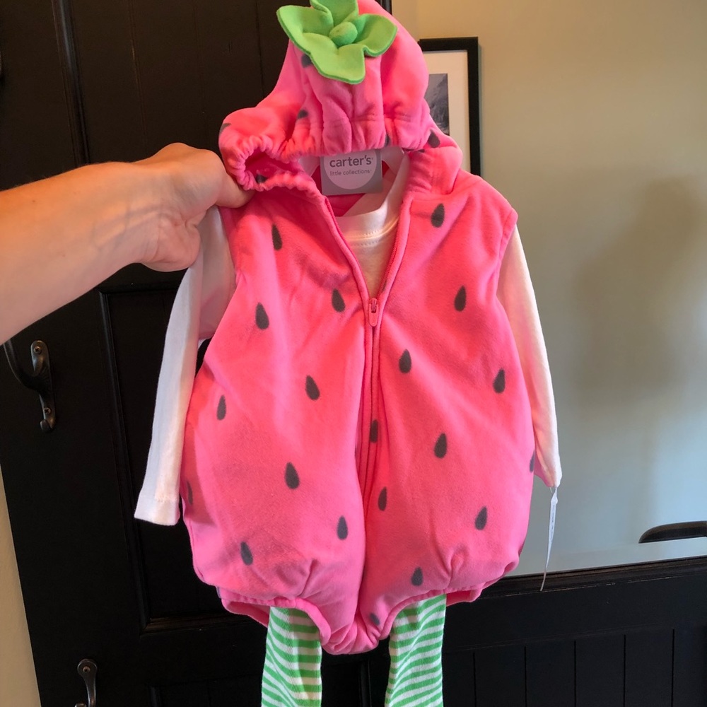 NWT watermelon 3-6 mo costume